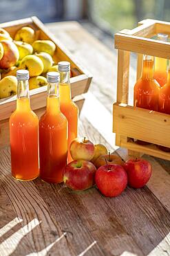 Apple juice naturally cloudy, homemade in juice bottle with apples in apple crate with autumn light