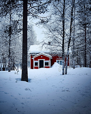 Red hut in the forest at blue hour, Rovaniemi, Finland, Europe