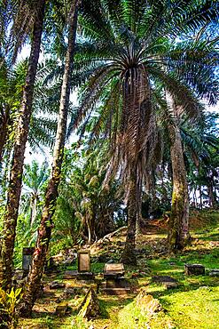 Historic Bel Air Cemetery, although already badly dilapidated, is a national monument and one of the sights on the island with graves of famous personalities, Victoria, Mahe, Seychelles, Victoria, Mahe, Seychelles, Africa