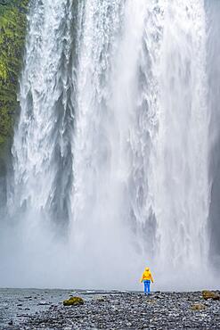 Hiker in front of huge waterfall, water tumbling down cliff, Skogafoss waterfall, South Iceland, Iceland, Europe