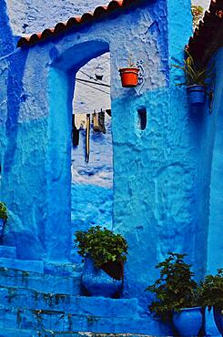 Staircase with open archway and red flowerpot, turquoise gateway, Blue City, Chefchaouen, Tangier-Tetouan-Al Hoceima, Morocco, Africa