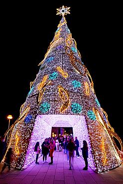 Illuminated Christmas tree, Christmas atmosphere, Advent season in Palma De Majorca, Parc de la Mar, Palma, Majorca, Spain, Europe