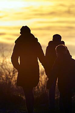 Walkers in the evening sun, silhouettes against the light, winter solstice, Koeterberg, Luegde, Weserbergland, North Rhine-Westphalia, Germany, Europe