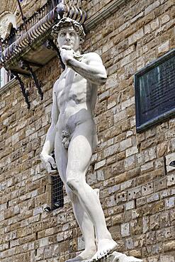 Statue David by Michelangelo in front of the Palazzo Vecchio on the Piazza della Signoria, Florence, Tuscany, Italy, Europe