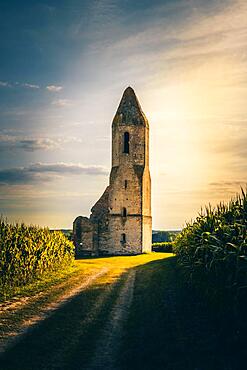 Ruin of a church in a cornfield. Old catholic church tower in the sunset, Pusztatorony, Somogyvamos at Lake Balaton, Hungary, Europe