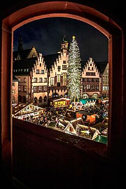 Frankfurt Christmas market, with large Christmas tree on the Roemer, with its historic town hall, taken through an arch from above, blue hour, Frankfurt am Main, Hesse, Germany, Europe