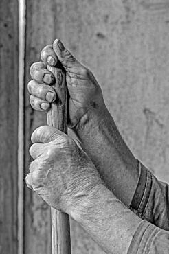 Hands of a farmer holding a wooden handle, Bavaria, Germany, Europe