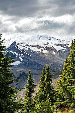 View of Mt. Baker with snow and glacier, Mt. Baker-Snoqualmie National Forest, Washington, USA, North America