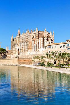 Cathedral Catedral de Palma La Seu Church Architecture Vacation Travel Travel in Palma de Majorca, Spain, Europe