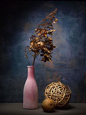 Theme Decoration, Still life with withered hydrangea in clay vase next to wooden balls, Studio shot, Symbol photo