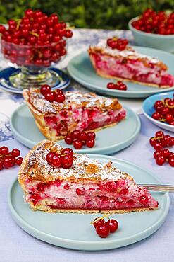 Swabian cuisine, baking, redcurrants (Ribes rubrum), cake plate, Germany, Europe