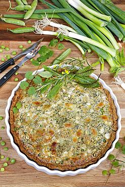 Southern German cuisine, baking, hearty vegetable cake with walnut base, peas, wild herbs and spring onions, quiche dish, tart dish, ceramic baking dish, wooden board, Germany, Europe