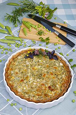 Southern German cuisine, baking, hearty vegetable cake with walnut base, peas, wild herbs and spring onions, quiche dish, tart dish, ceramic baking dish, wooden board, Germany, Europe