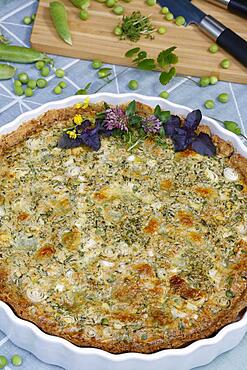 Southern German cuisine, baking, hearty vegetable cake with walnut base, peas, wild herbs and spring onions, quiche dish, tart dish, ceramic baking dish, wooden board, Germany, Europe