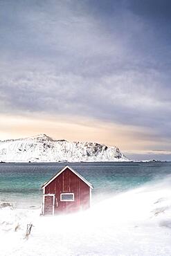 Red Rorbuer fishing hut on the beach in the snow, Ramberg, Flakstadoya, Lofoten, Norway, Europe