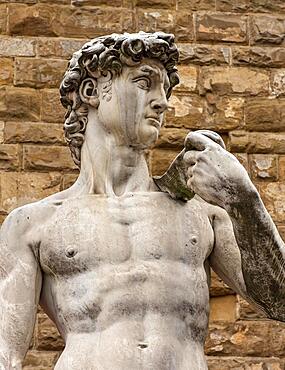 Copy of Michelangelo's statue of David at Piazza della Signoria, Florence, Italy, Europe