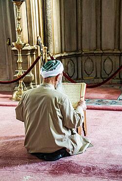 Old man reading Quran in a mosque on display