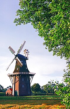 Holtland Mill, three-storey gallery holland, East Frisia, Lower Saxony, Germany, Europe