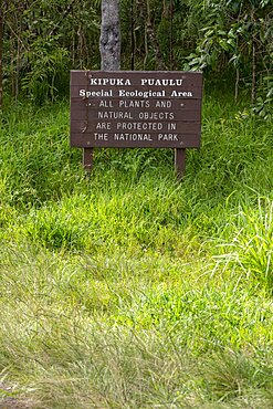 Kipuka Puaulu, Special Protection Zone, Ecology, Hawai'i Volcanoes National Park, Volcano Village, Big Island, Hawaii, USA, North America