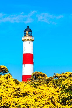 Tarbat Ness Lighthouse, Portmahomack, East Coast of Scotland, UK