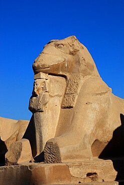 Luxor, part of the Ram's Alley, Karnak Temple, UNESCO World Heritage Site, Egypt, Africa