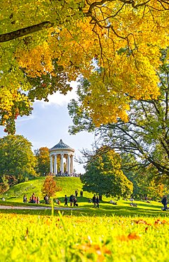 English Garden with Monopterus in Autumn, Munich, Bavaria, Germany, Europe