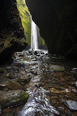 Waterfall in moss-covered gorge, river in Nauthusagil Gorge, South Iceland, Iceland, Europe