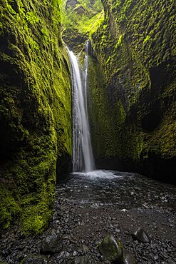 Waterfall, river in Nauthusagil Gorge, South Iceland, Iceland, Europe