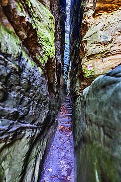 Narrow rocky gorge on the Mullerthal Trail, hiking trail through wild rocky landscape with sandstone rocks, Little Luxembourg Switzerland, Mullerthal or Mullerthal, German-Luxembourg nature Park, Grand Duchy of Luxembourg