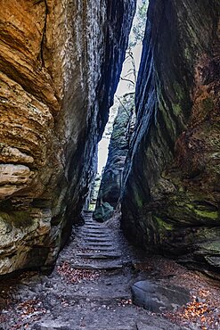 Rock gorge on the Mullerthal Trail, hiking trail through wild rocky landscape with sandstone rocks, Little Luxembourg Switzerland, Mullerthal or Mullerthal, German-Luxembourg nature Park, Grand Duchy of Luxembourg