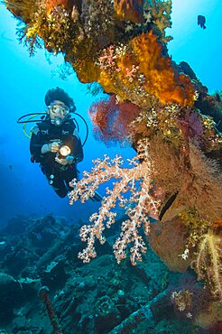 Diver looking at illuminated soft corals (Alcyonacea) covered wreckage of sunken ship USS Liberty, Pacific Ocean, Tulamben, Bali, Indonesia, Asia