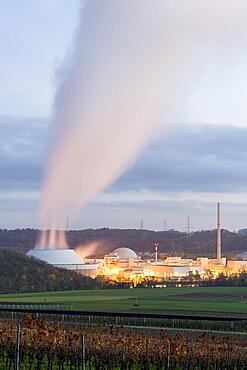 Neckarwestheim nuclear power plant, vineyard, vines, twilight, Neckarwestheim, Baden-Wuerttemberg, Germany, Europe