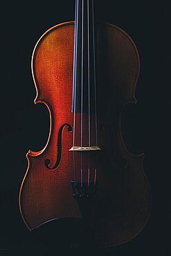 Violin, black background