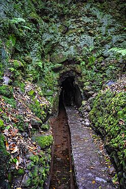 Levada Tunnel, PR9 Levada do Caldeirao Verde, Madeira, Portugal, Europe