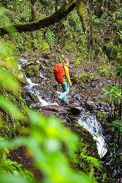 Hiker on a Levada, PR9 Levada do Caldeirao Verde, Madeira, Portugal, Europe