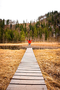 Male hiker on footbridge in front of lake, Schwansee, Allgaeu, Bavaria, Germany, Europe