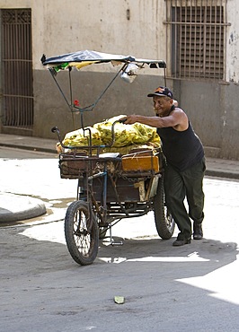 Old colorful horse and donkey carts in the streets of Havana, Cuba, Central America