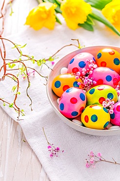 Spring time - Easter eggs and tulips on white background