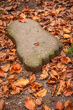 Stone foot in the barefoot park in the forest, Schoemberg, Black Forest, Germany, Europe