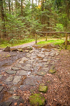 Barefoot Park in the Forest, Schoemberg, Black Forest, Germany, Europe