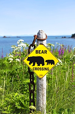 Attention Bears, Warning Sign, Katmai, Alaska, USA, North America