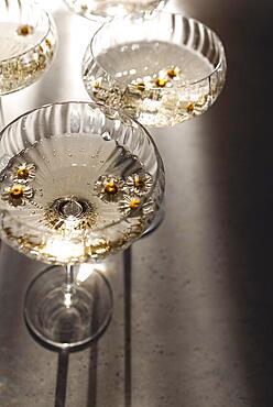 Four glasses with champagne on a light table surface reflecting soft sunshine rayson. Sparkling wine with daisy flowers. Top view