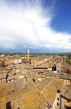 Torre del Mangia and the roofs of Siena, Province of Siena, Tuscany, Italy, Europe