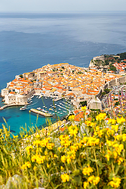 View of the old town by the sea Holiday Dalmatia in Dubrovnik, Croatia, Europe