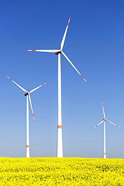 Symbolic image wind energy, energy transition, wind turbines on rape field, wind turbine, blue sky, Baden-Wuerttemberg, Germany, Europe