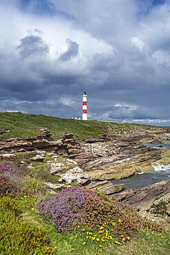 The Tarbat Ness Lighthouse on the Moray Firth, Scotland, Great Britain