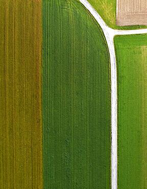 Drone shot, agricultural landscape, field path with crossroads leading through meadows and fields, Lochen, Innviertel, Upper Austria, Austria, Europe