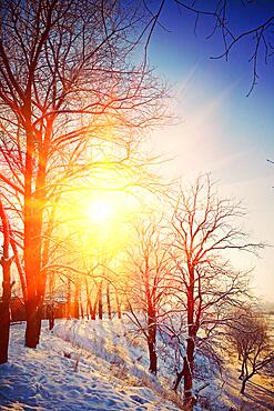 Beautiful wintry view on hill with leafless trees on sunrise instagram stile