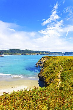 Beautiful rocky coastline and steps leading to sand beach below cliffs near Mendocino Bay on sunny day in California. Vertical