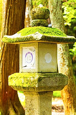 Old traditional stone lantern covered in green moss among trees at Todai-ji temple complex in Nara, Japan, Asia